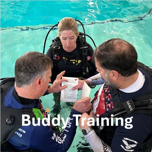 Buddy Training Product Picture.jpg