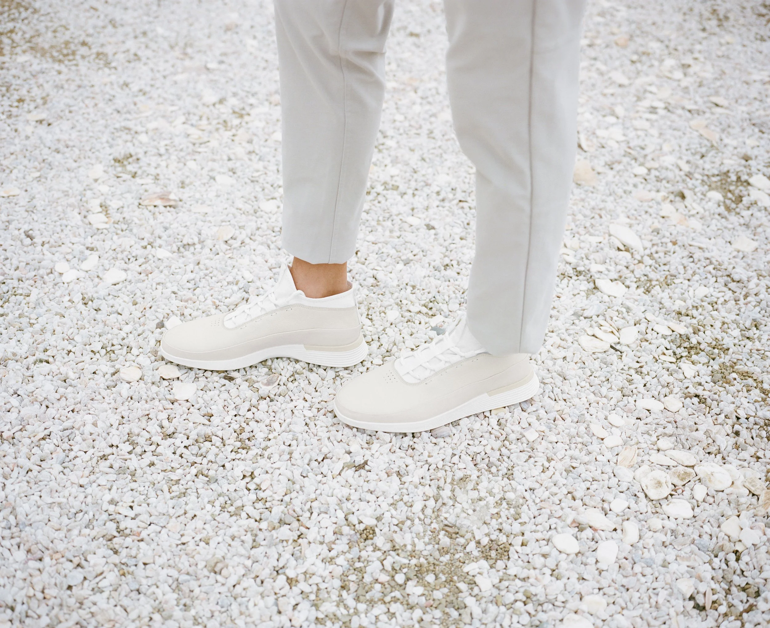 Banner Full Size Coast.jpg