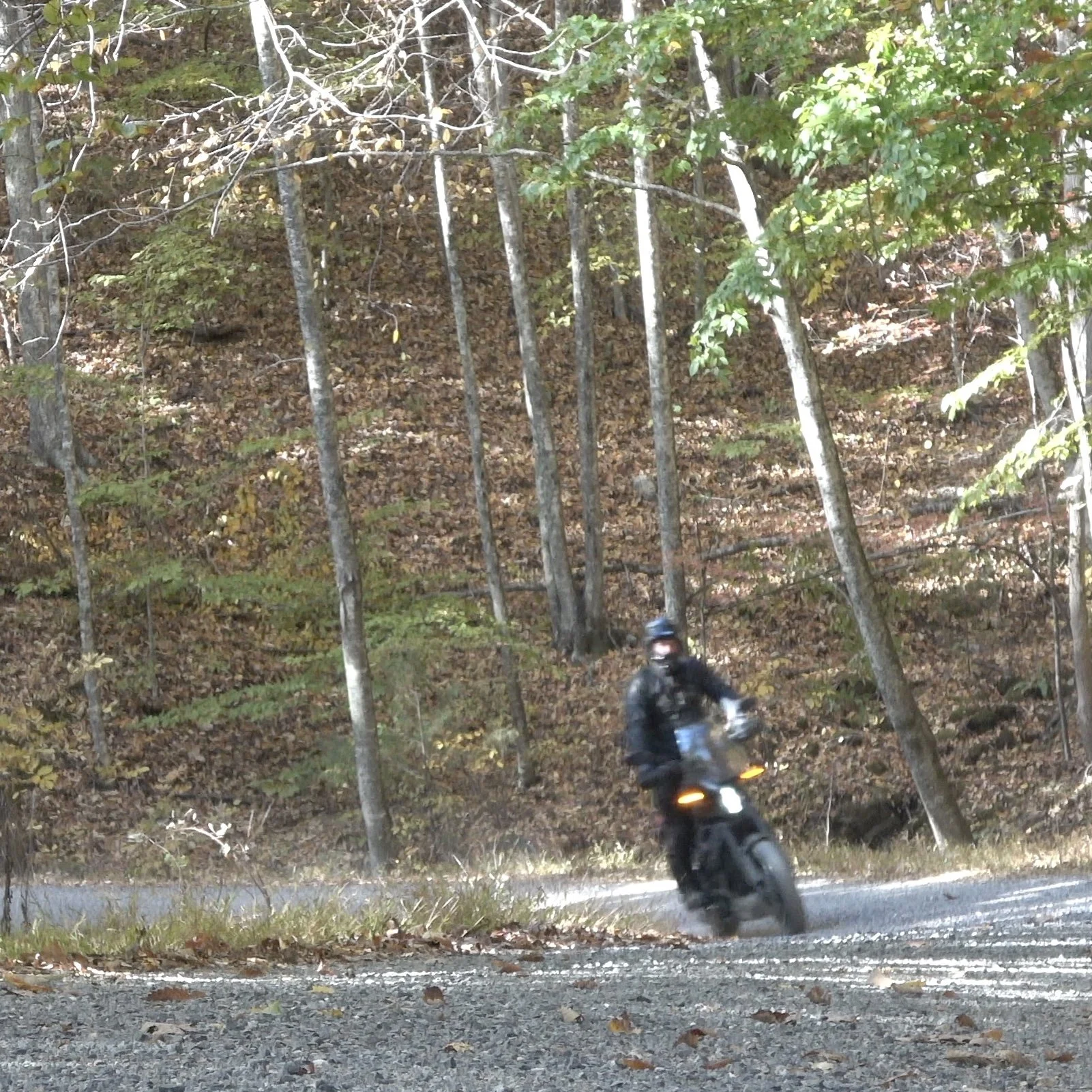 Nomad Ranger - (coming soon!)