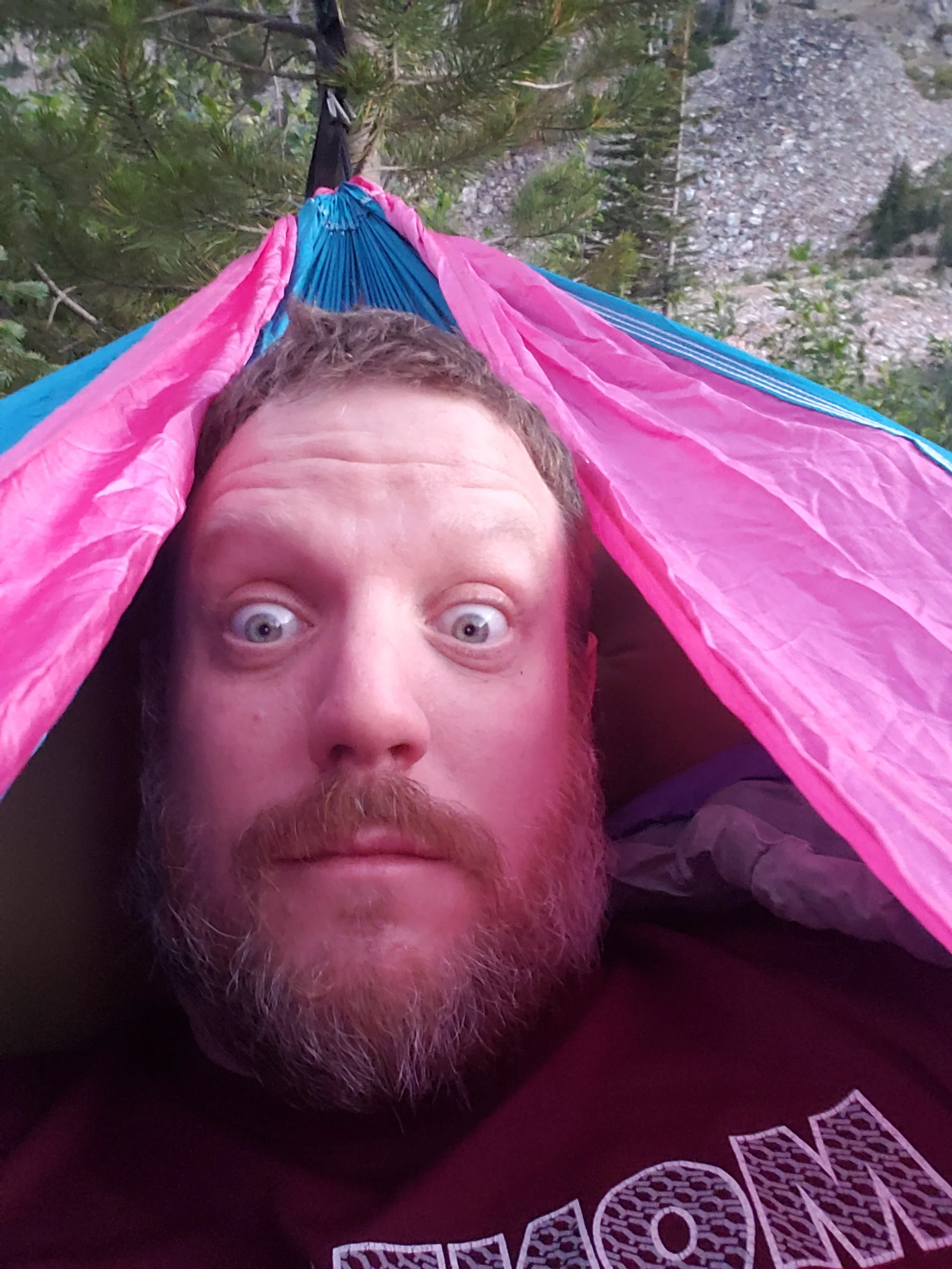 kevin harrington headshot.jpg