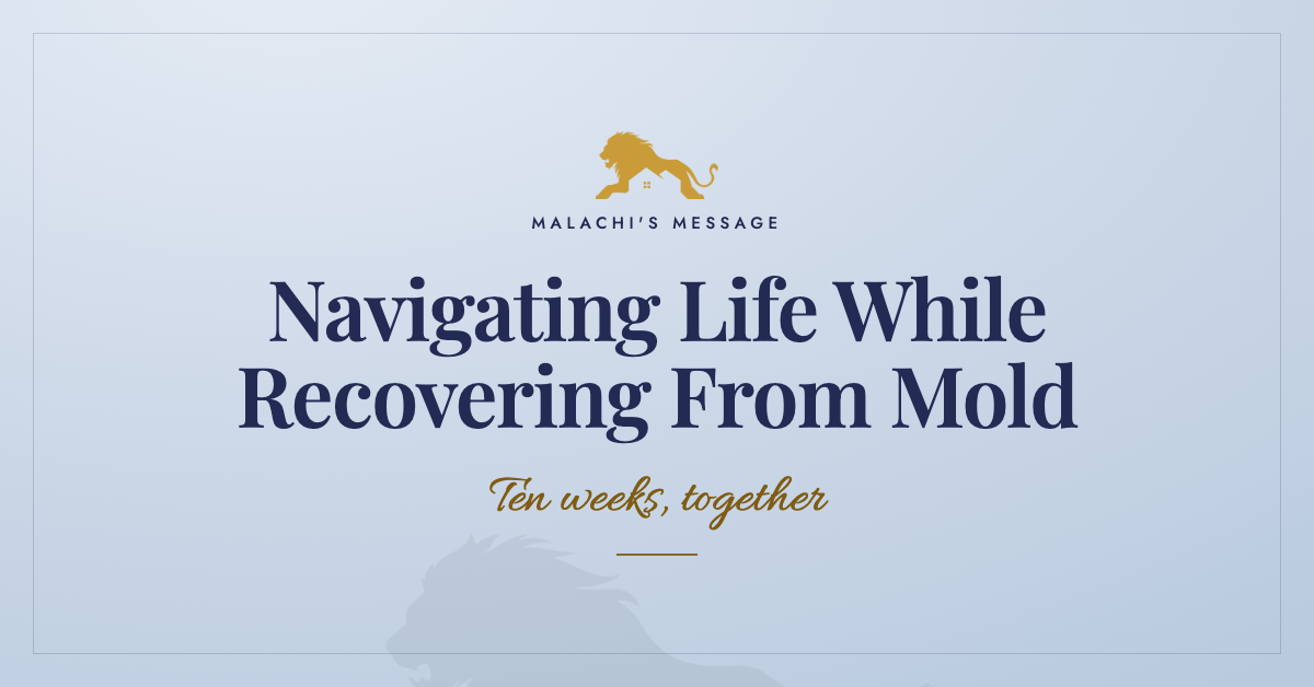 Support Series: Navigating Life While Recovering From Mold