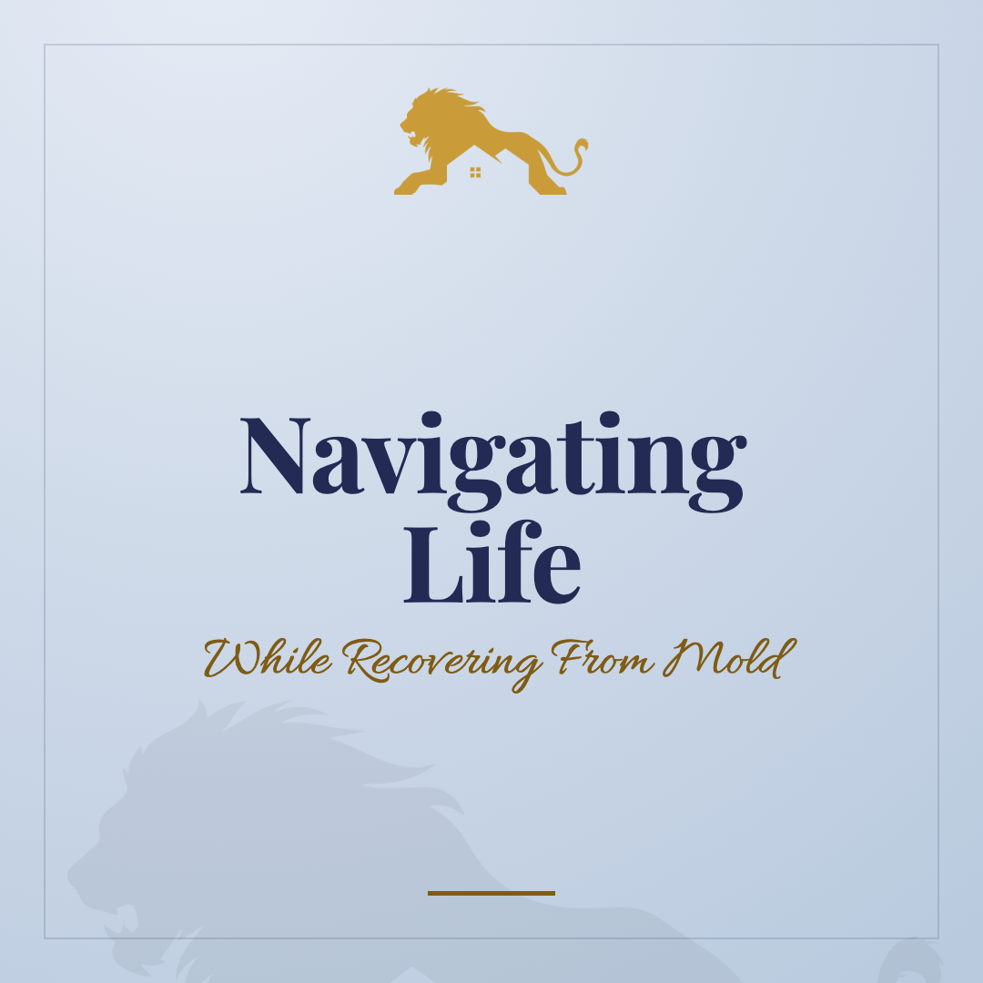 Support Series: Navigating Life While Recovering From Mold 