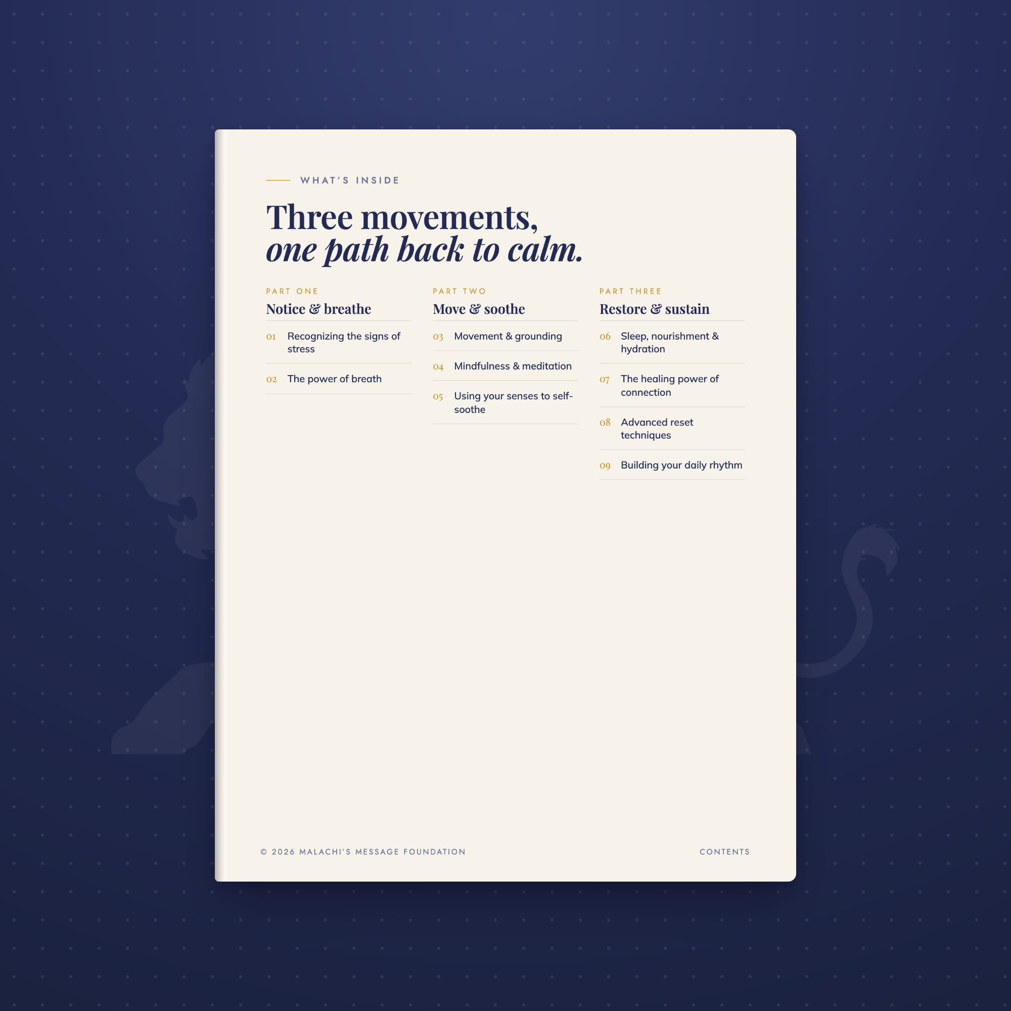 cys-product-03-contents.png