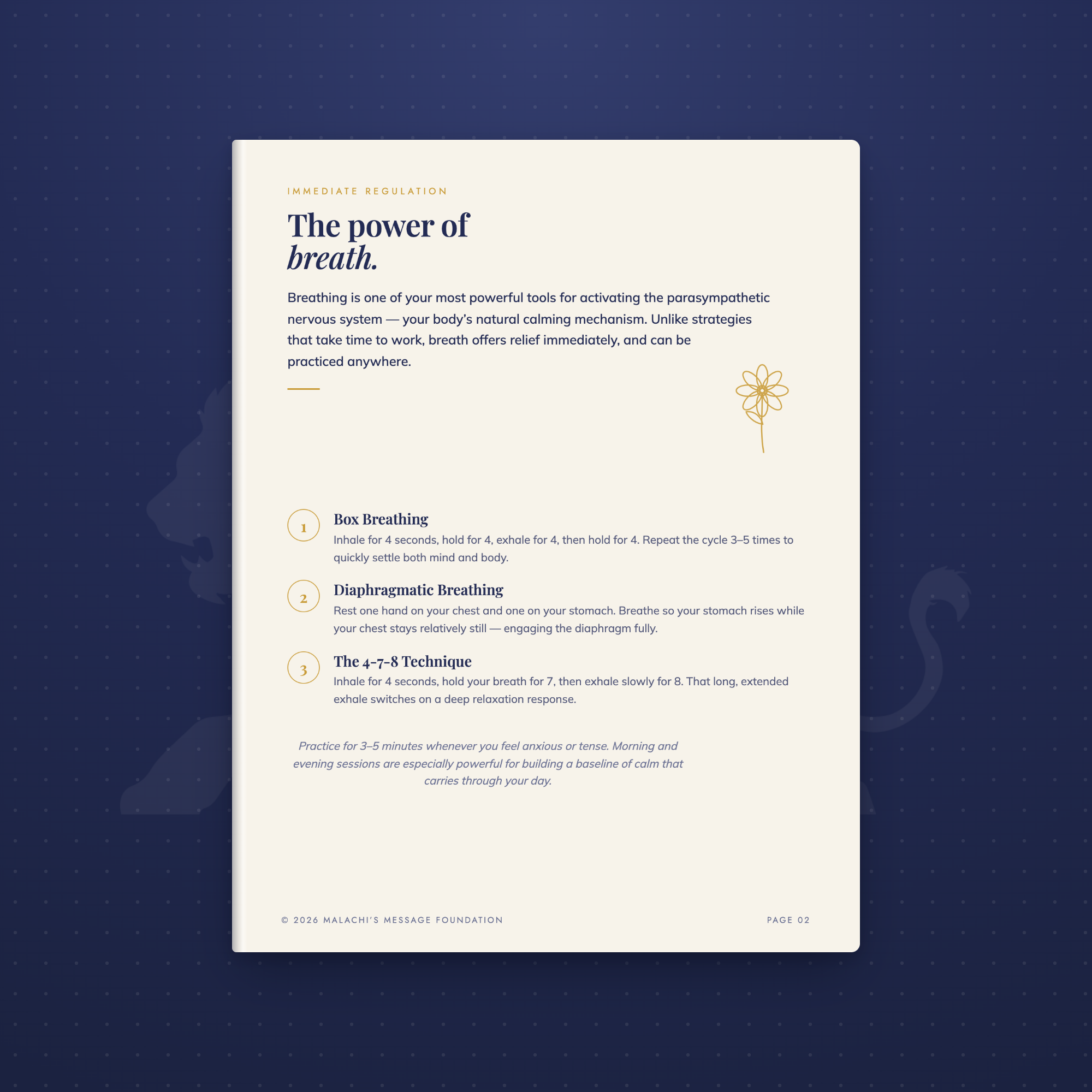 cys-product-04-sample.png