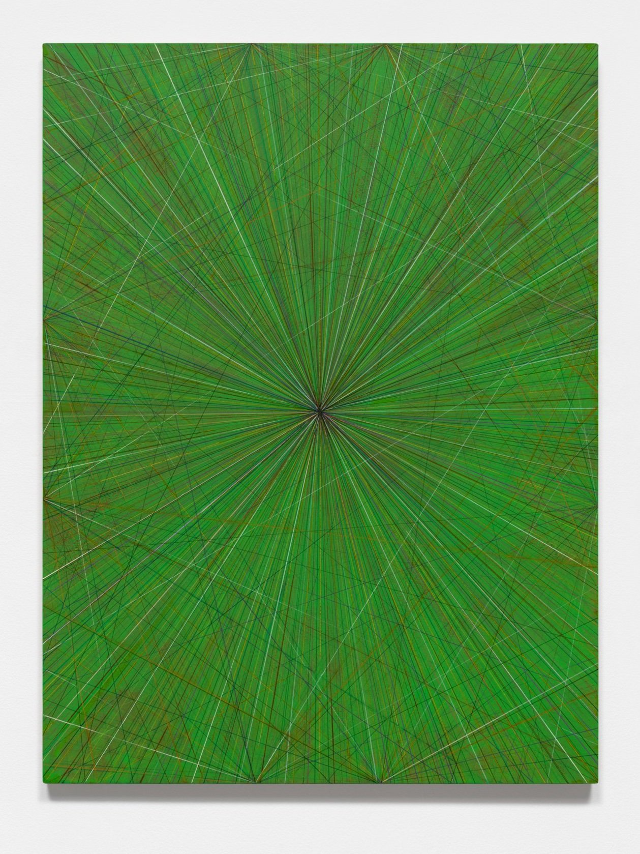 Natural Coordinates | Acrylic on Canvas | 40"x30" | 2026