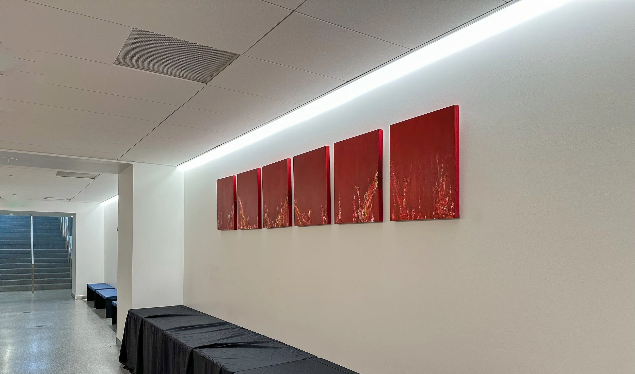 Fire | University of California San Francisco Law School | 2025