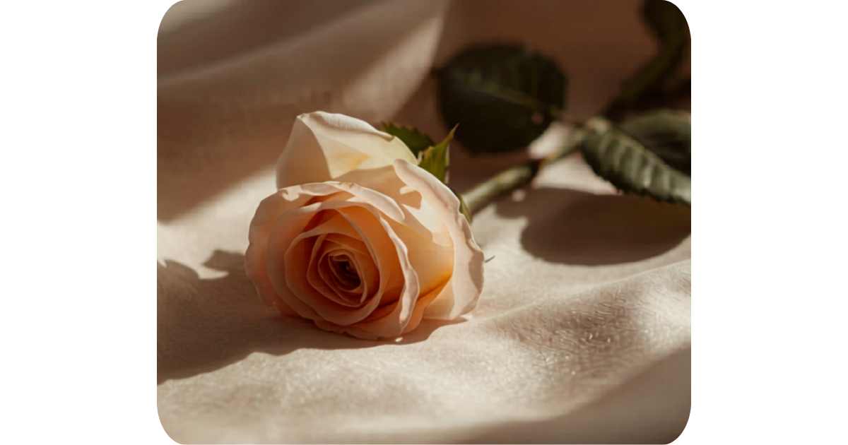 I Don’t Like Roses
