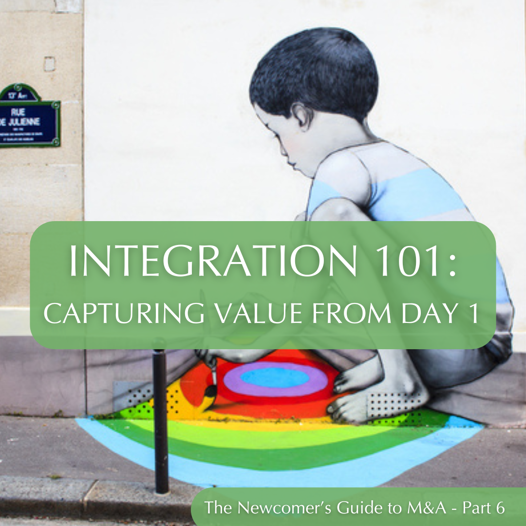 tHE NEWCOMER’S GUIDE TO M&amp;A, PART 6