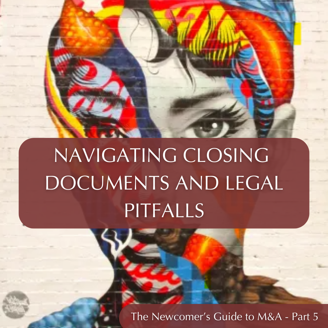 The Newcomer’s Guide to M&amp;A, Part 5