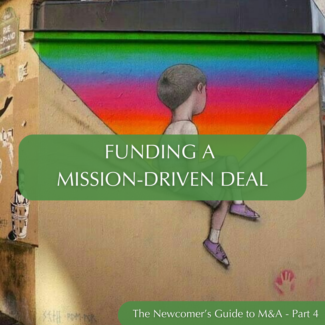 The Newcomer’s Guide to M&amp;A, Part 4