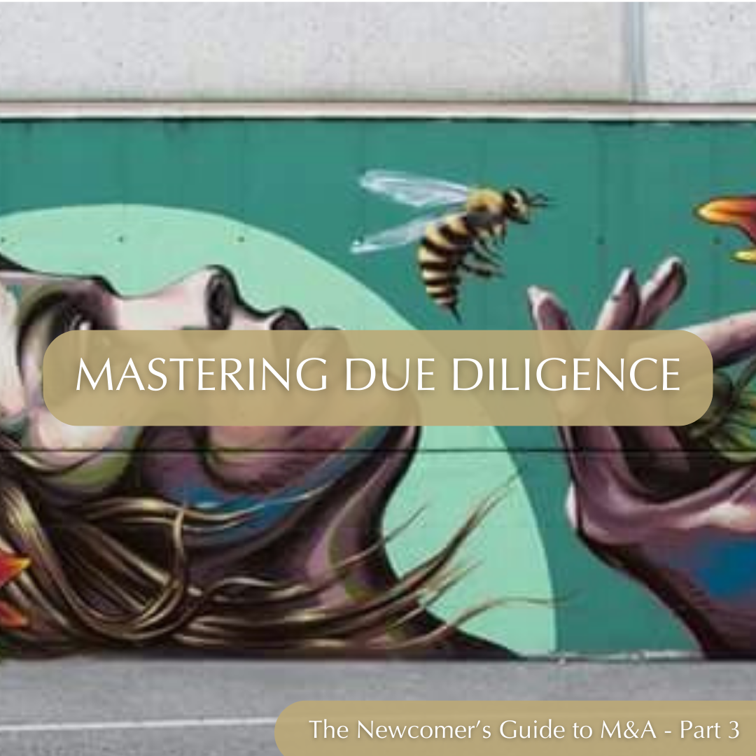 The Newcomer's Guide to M&amp;A, Part3