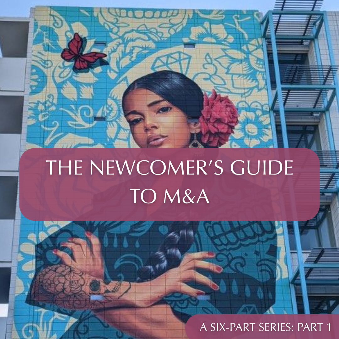 The Newcomer’s Guide to M&amp;a