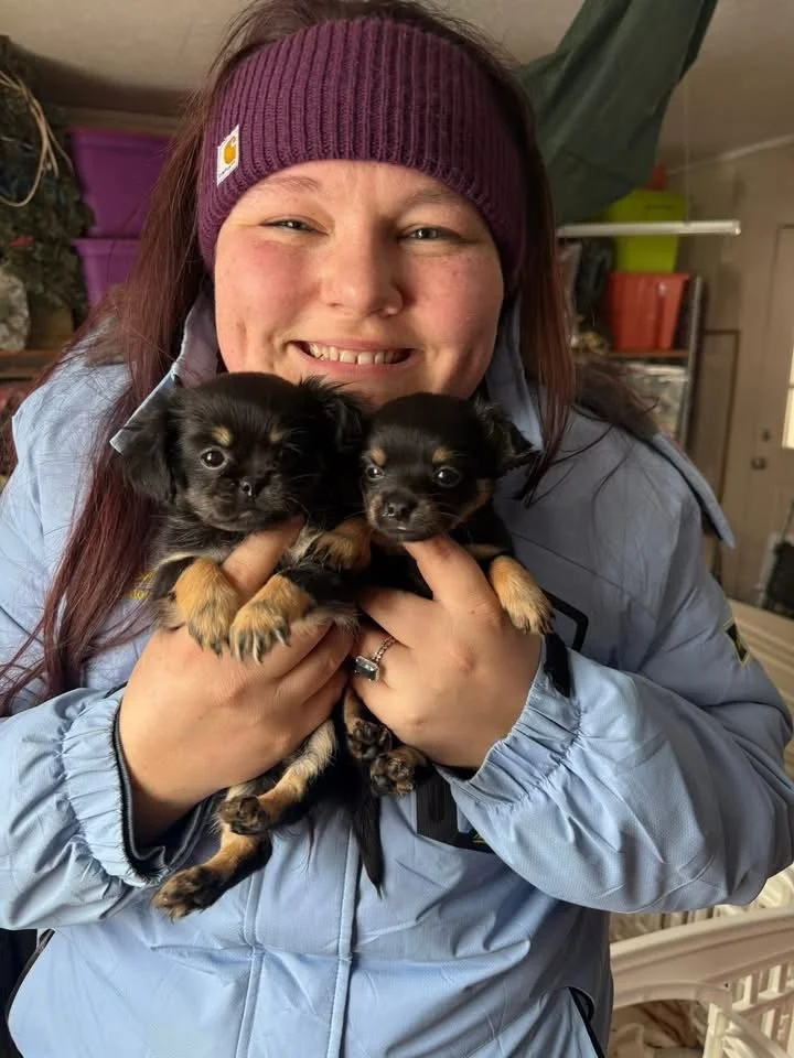 A woman smiling and holding two small black and tan puppies, both with floppy ears, indoors with some shelves and household items in the background.