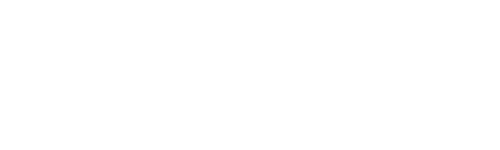 Airline logo - CV@2x.png