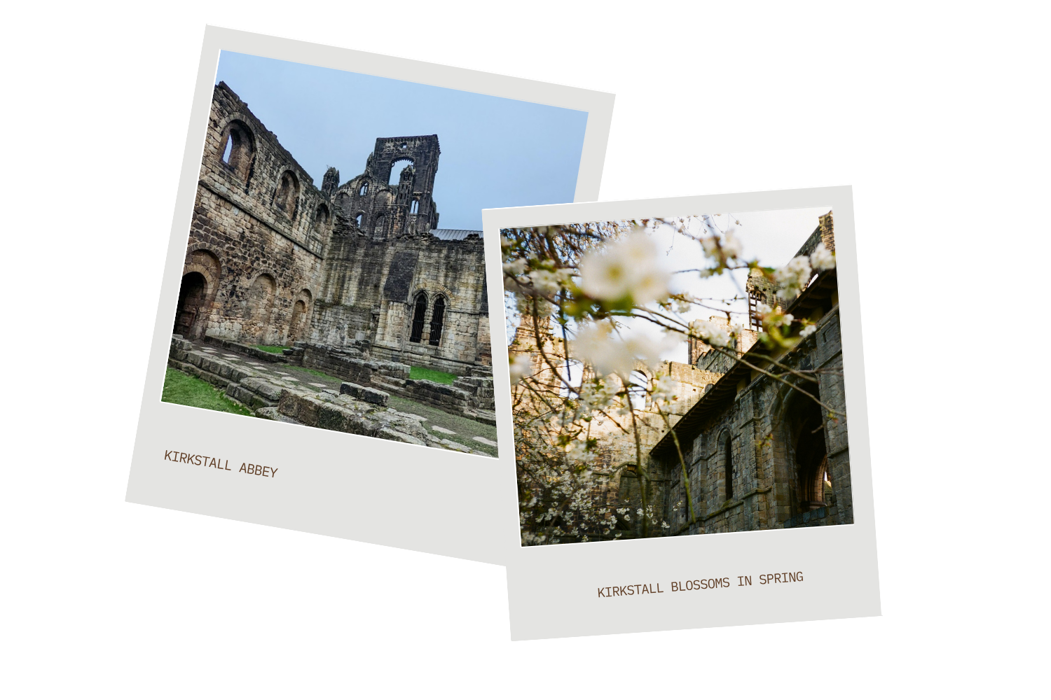 Polaroid style photos. Both show ancient stone ruins. One has flowers in in the foreground