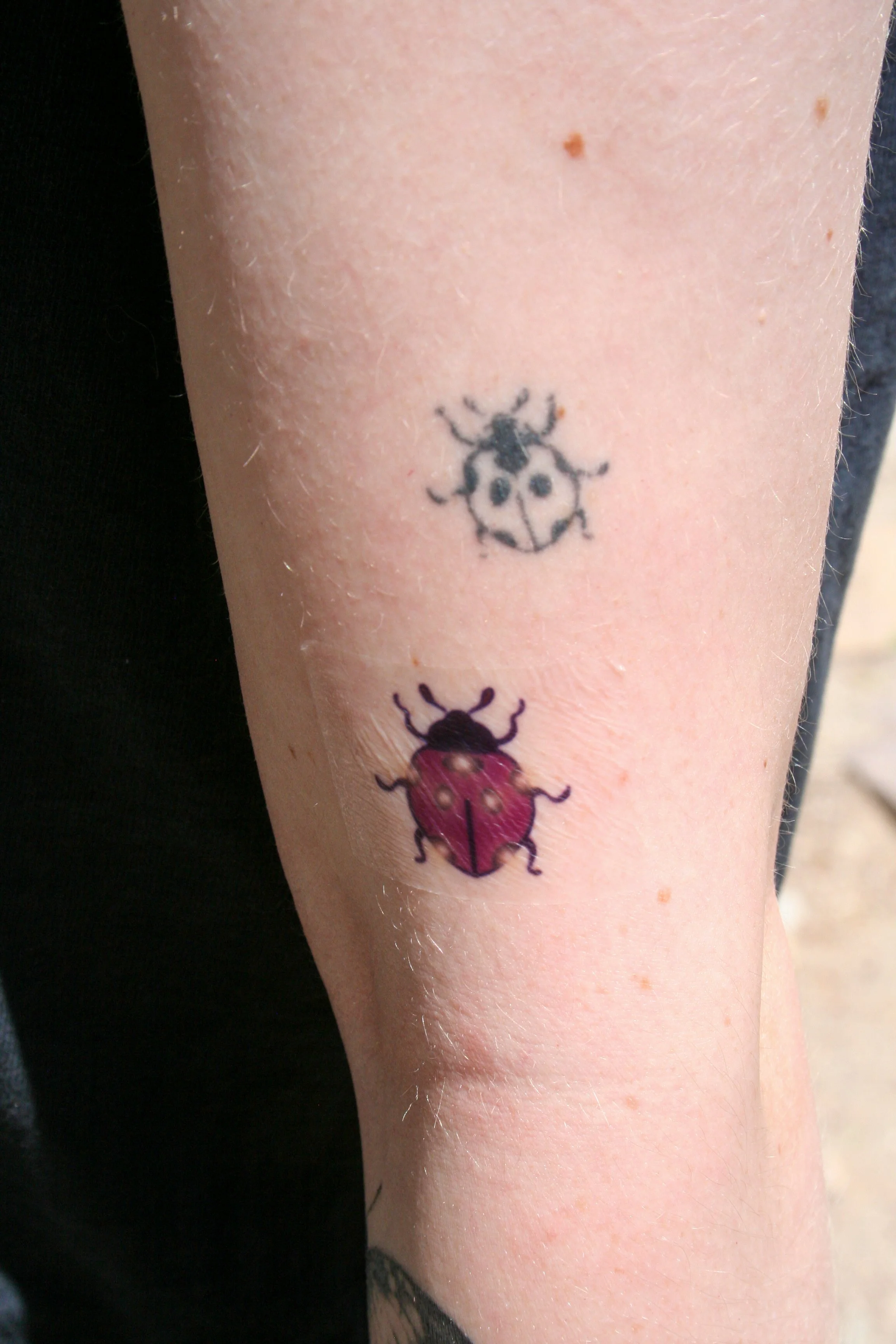 TATTOOCinderbugCLR2.JPG