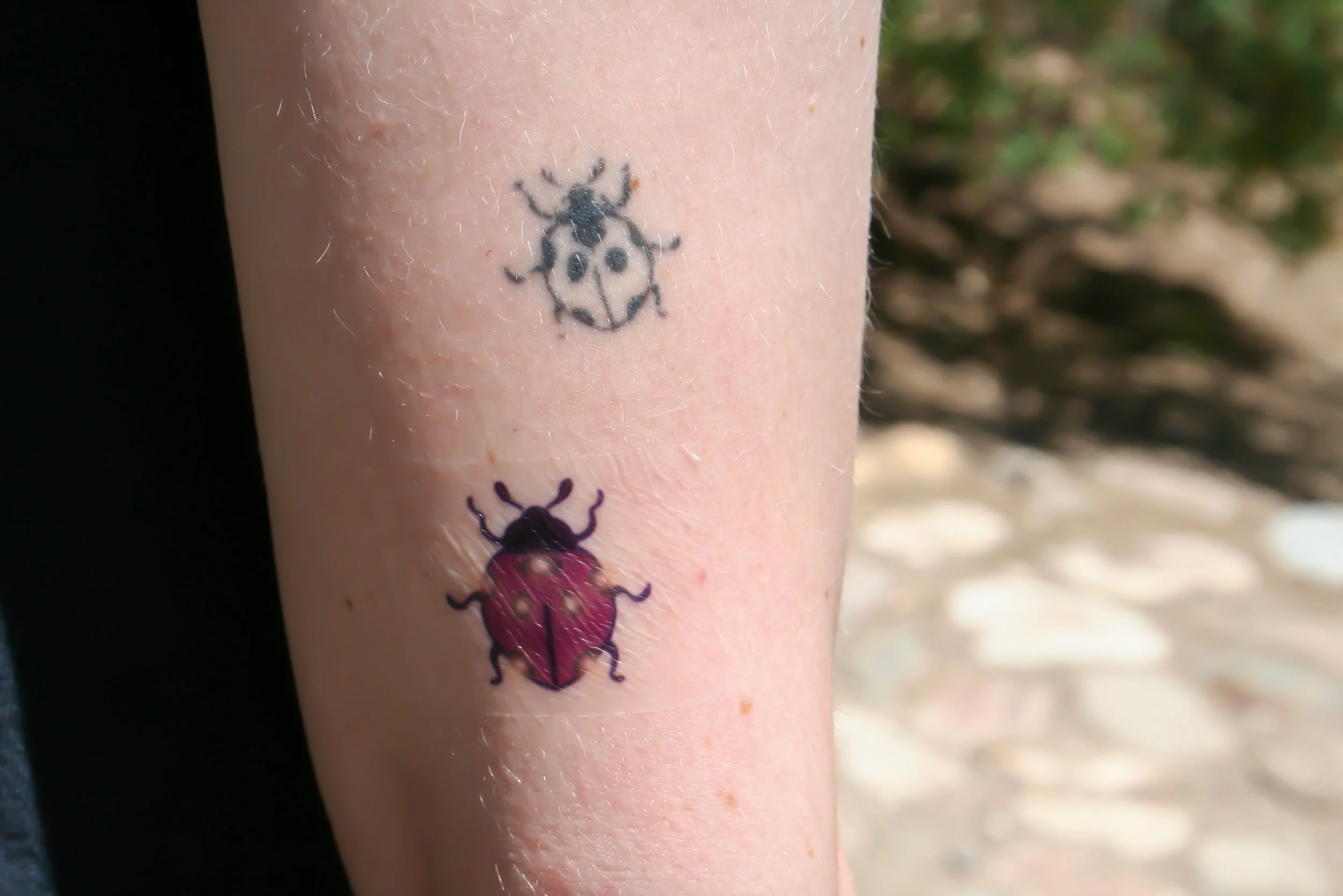 TATTOOCinderbugCLR3.JPG