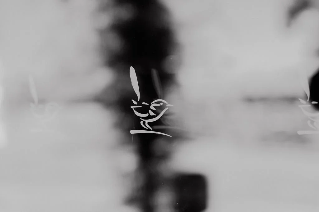 brittney_luke_blue_wren_wedding_gez_xavier_mansfield_photography_2019-7.jpg