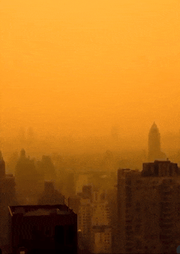 NYC, @shotalive, 2023
