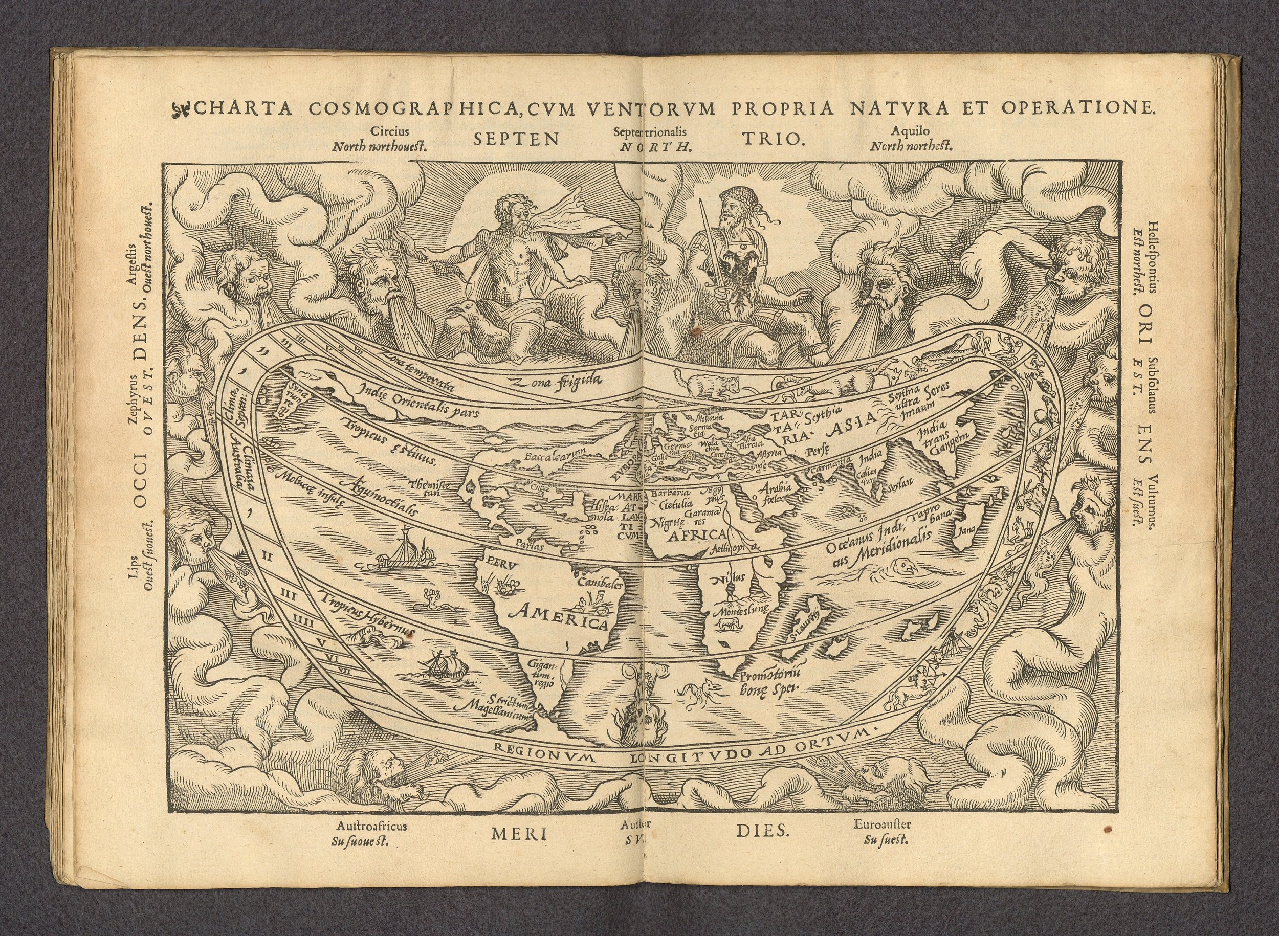 Charta Cosmographica: A 16th-Century Celestial and World Map by Apian, Frisius, and Gaultherot