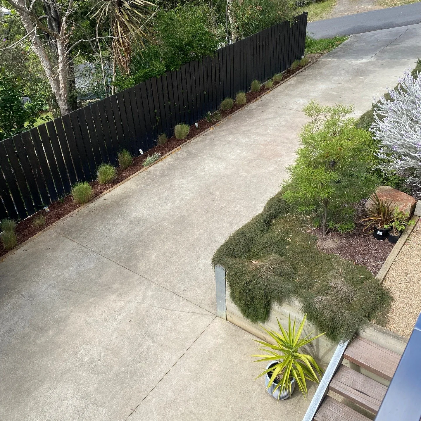 healesvillas
The Pig faces are out again after the frosts and the Poas have been trimmed to allow the Kangaroo Paws some light - topped off with a layer of mulch looks sooo much better #yarravalley #luxuryaccommodation #weekendvibes #healesville