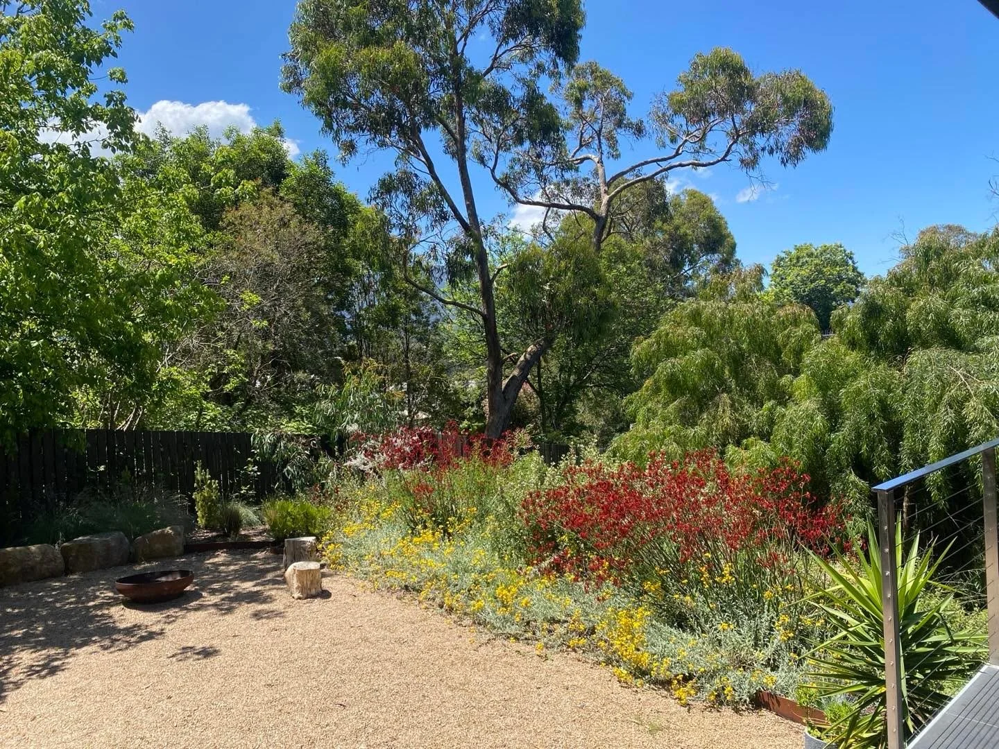 Sun is shining and the sky is blue - gorgeous afternoon at Jacquina, Healesvillas - kangaroo paws in full effect - book now for a February get away!
#luxury accomodation #yarra valley #healesvillas