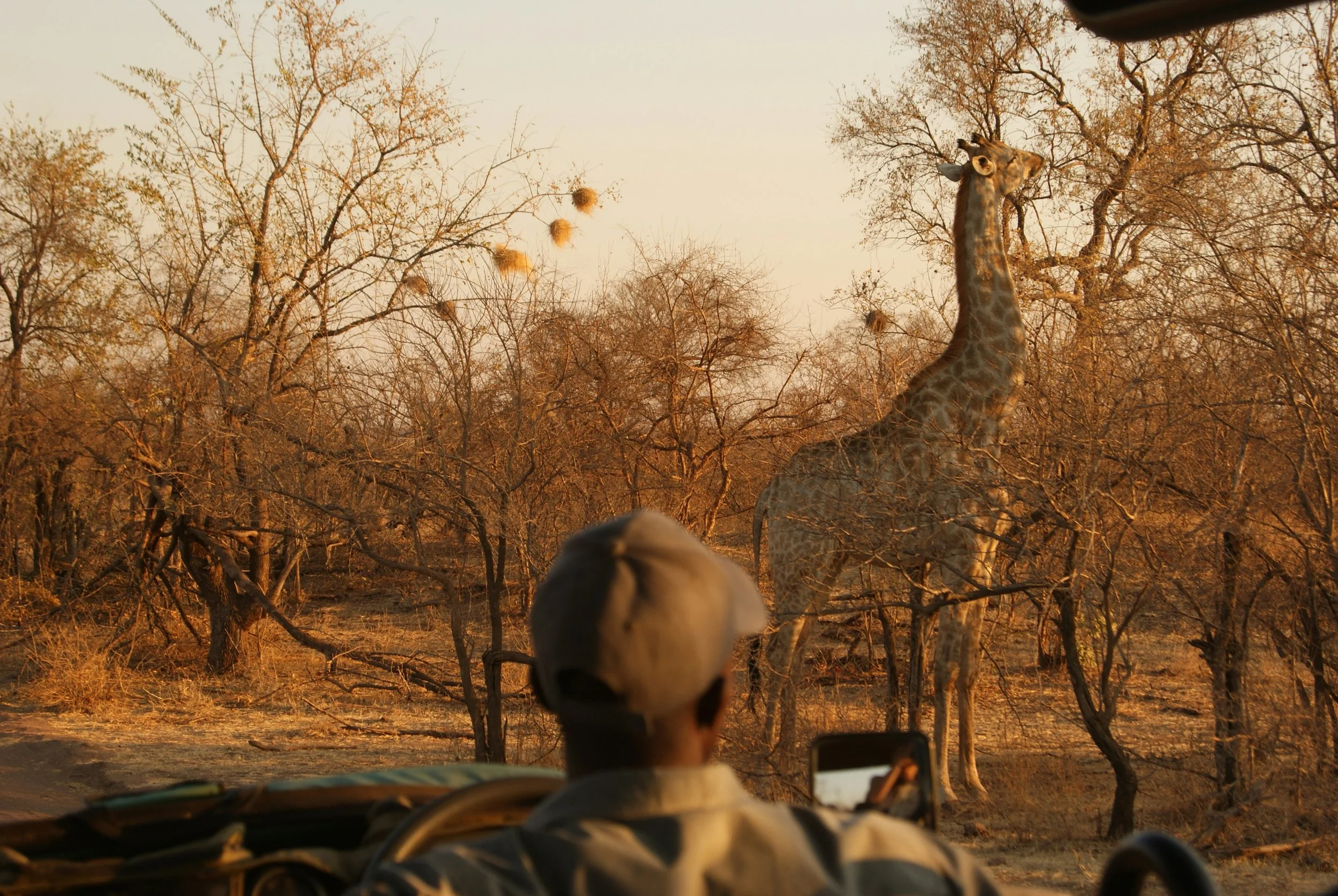 South Africa Package Deal