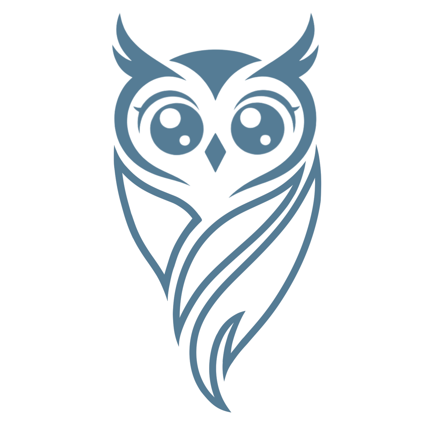 Owl Customs