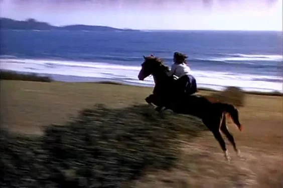 horseback riding 4.jpg