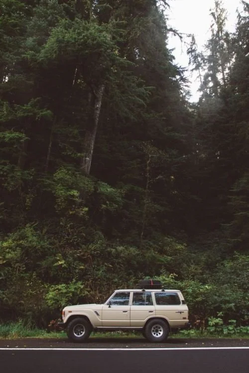 road trip 4.jpg