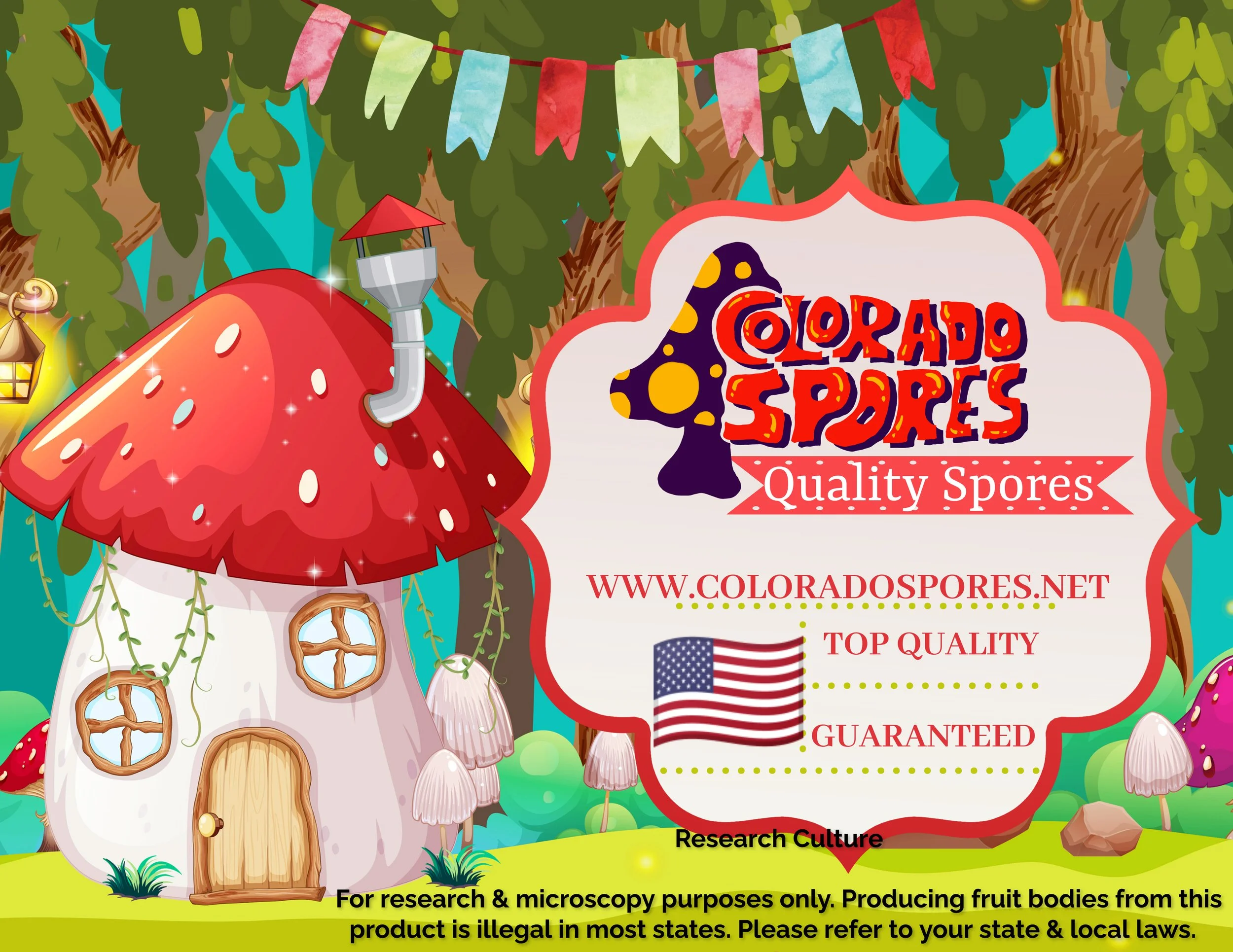 Colo spores.jpg