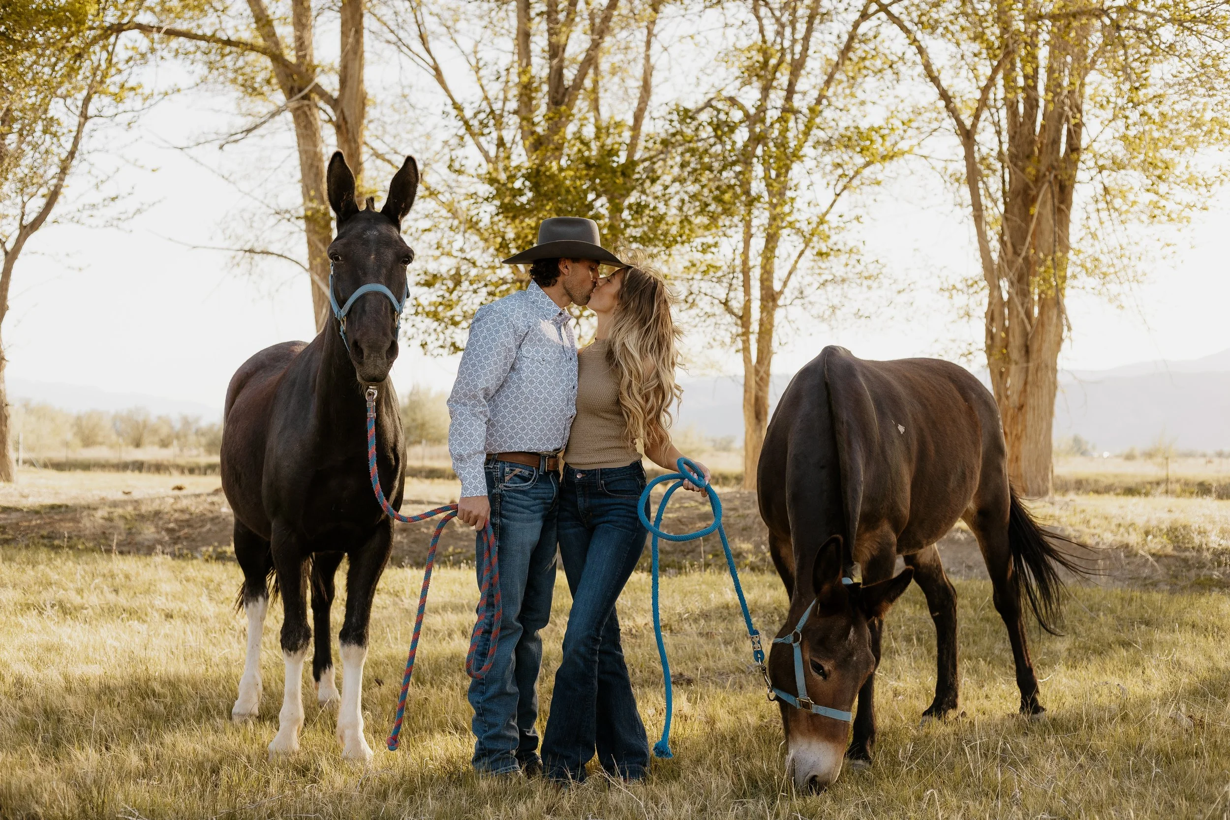 A couple sharing a kiss while standing among two horses in a field with trees and mountains in the background.