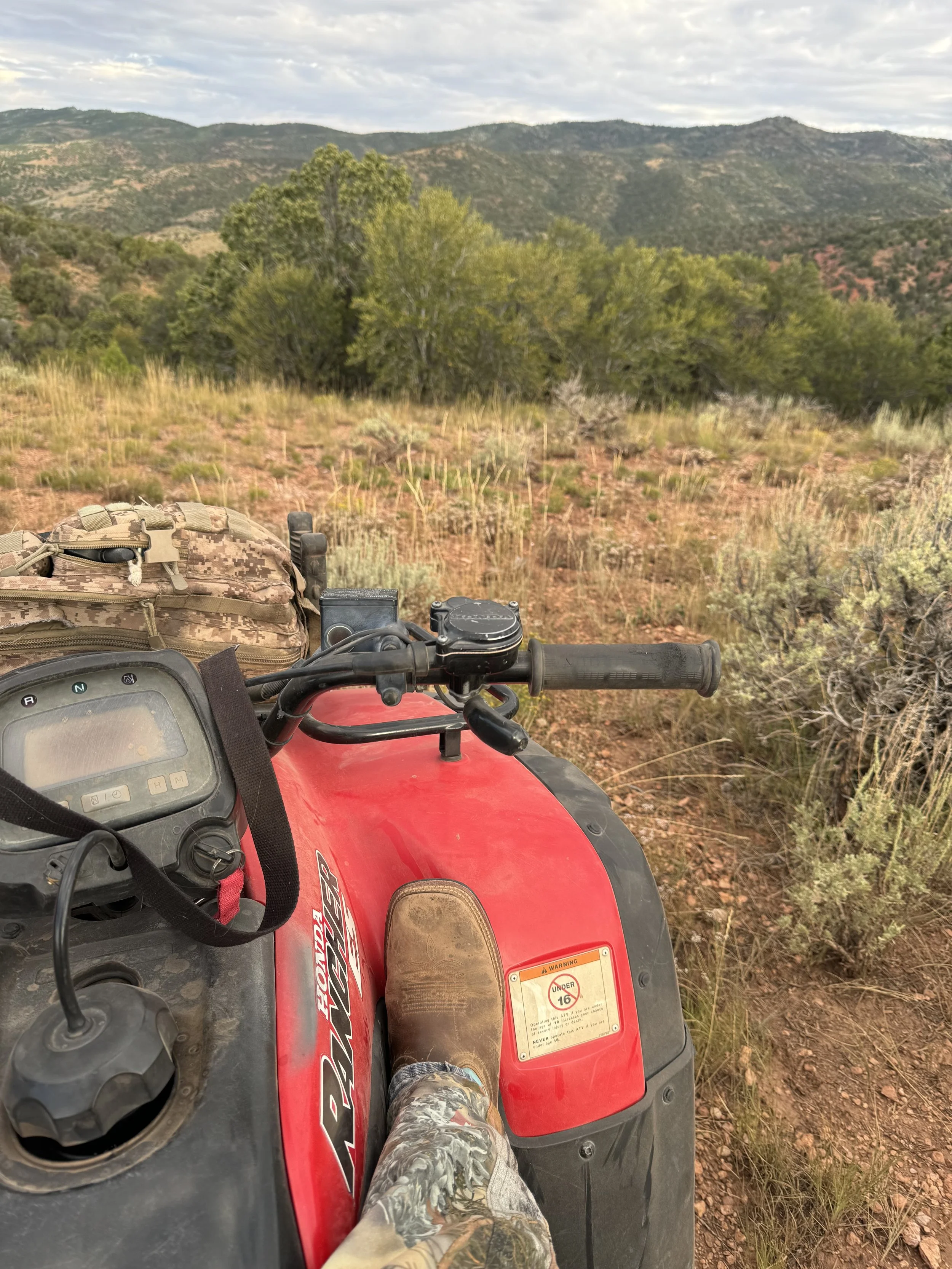 View from the seat of a red Honda FourTrax ATV, with a person's foot in a camouflage boot resting on it, overlooking a landscape of grassy and bushy terrain with a line of trees and mountains in the distance under a cloudy sky.