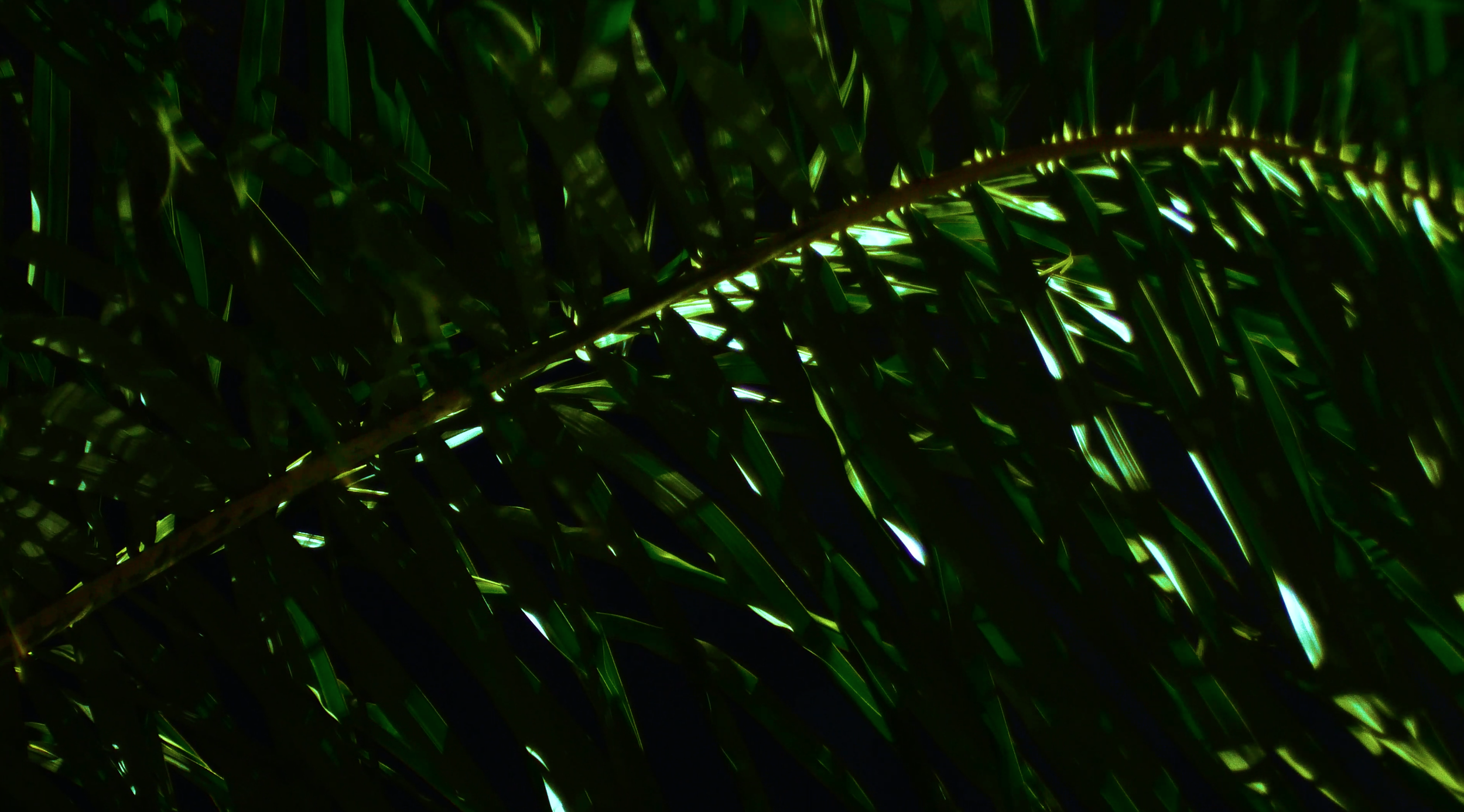 Screen Shot 2024-03-20 at 1.12.22 AM.png