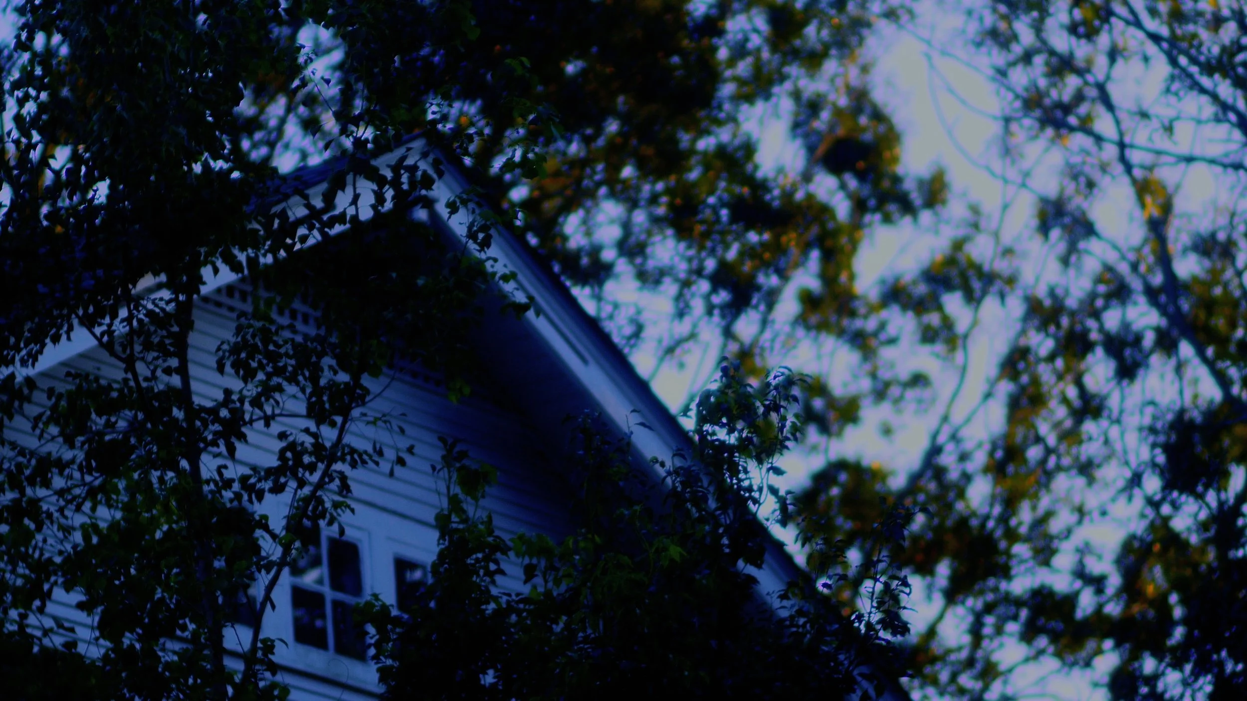 Sequence 09.00_58_57_02.Still050.jpg