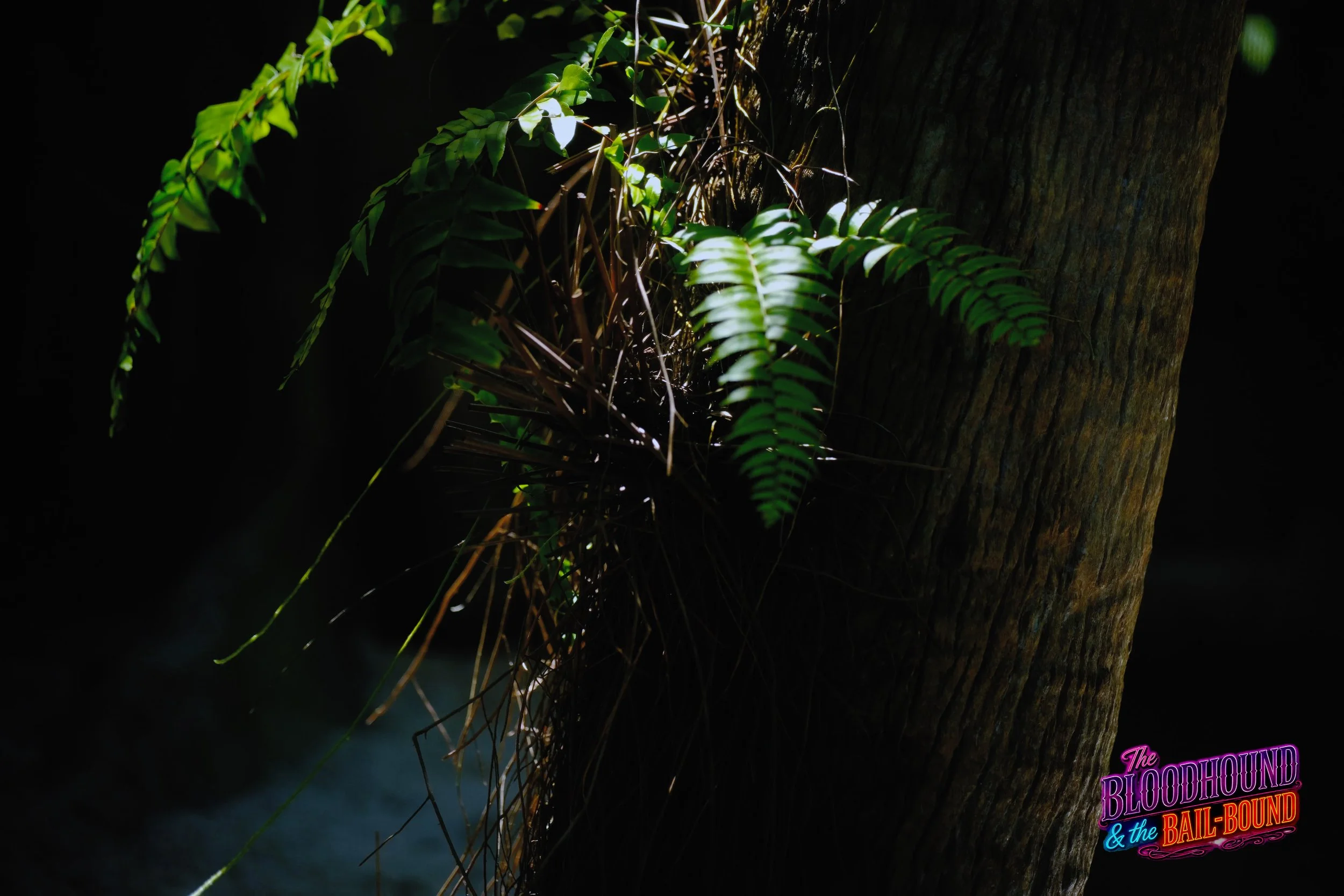 A frame from the original streaming TV series THE BLOODHOUND & THE BAIL-BOUND (2026) by Filmmaker Lazarus X.  © 2027 The Lazarus X Archives for Media, Rights & Masters LLC. All Rights Reserved.