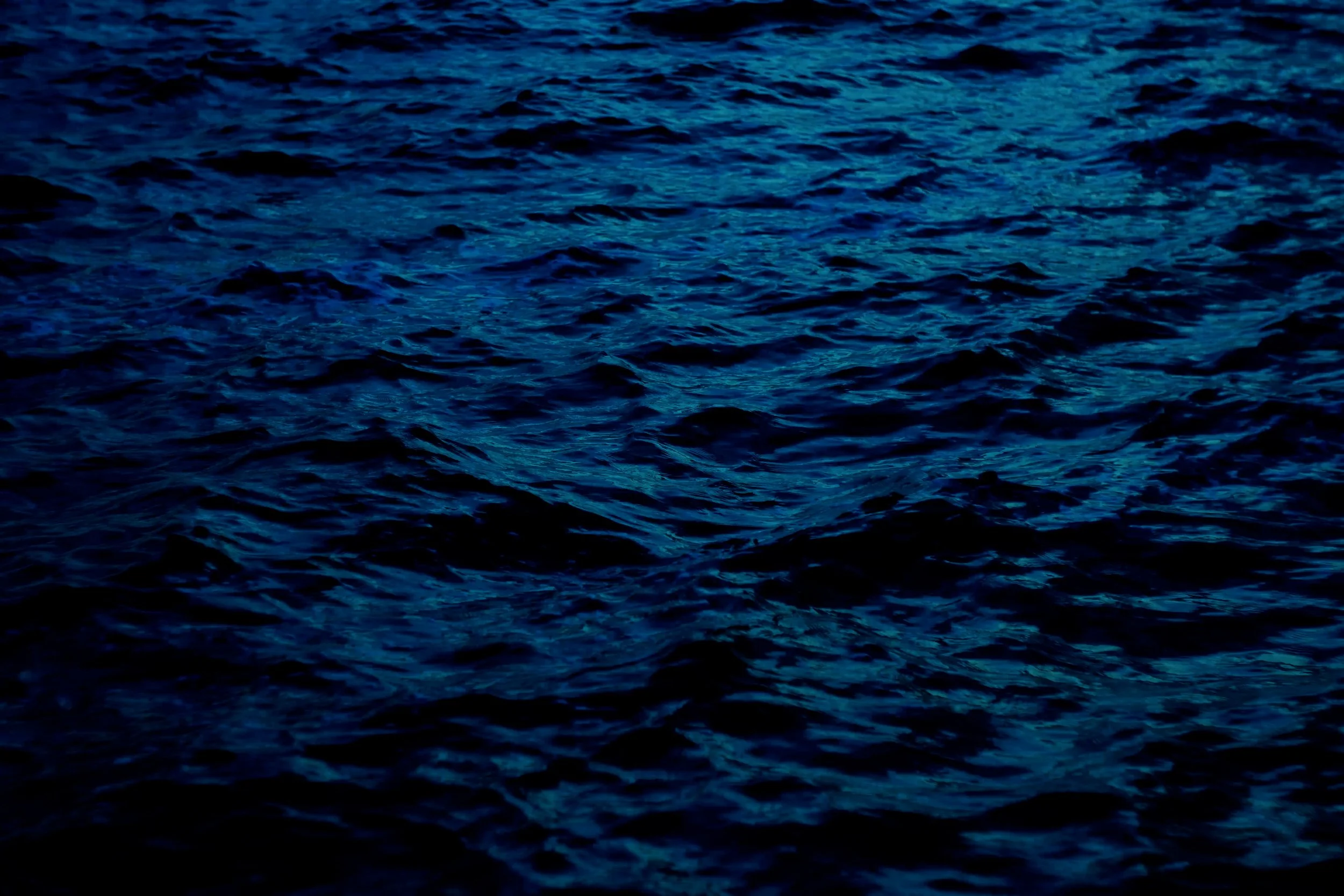 A frame from the original streaming TV series KILL NIRVANA (2026) by Filmmaker Lazarus X.  © 2027 The Lazarus X Archives for Media, Rights & Masters LLC. All Rights Reserved.