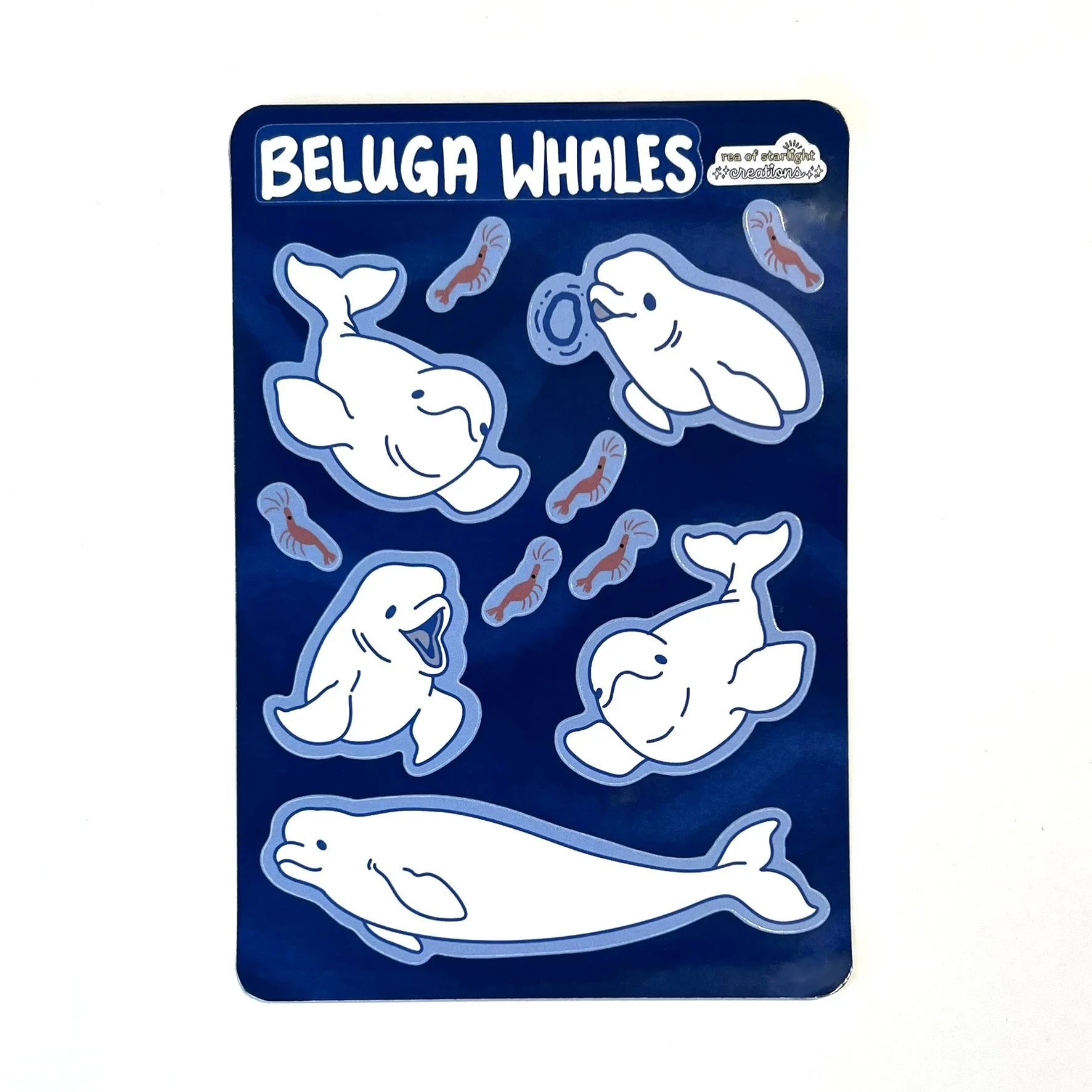 Beluga Whale SS photo.jpg