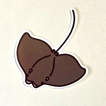 CNRay sticker photo.jpg