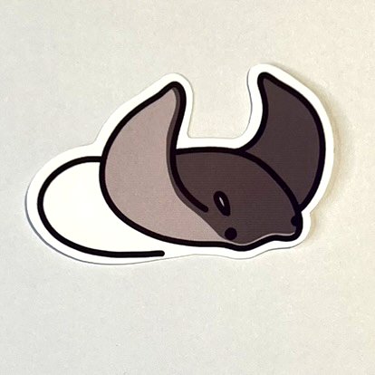 CNRay sticker photo 2.jpg