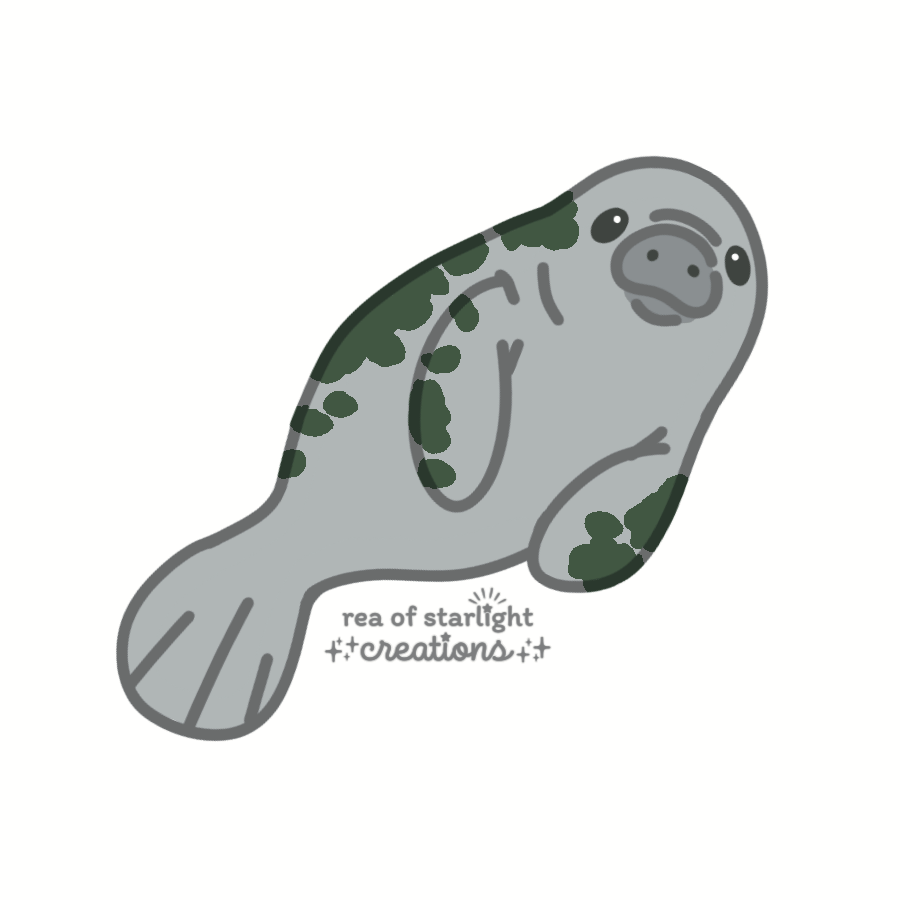 IMG_0485.PNG