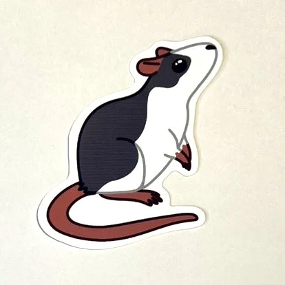 Rat sticker photo.jpg