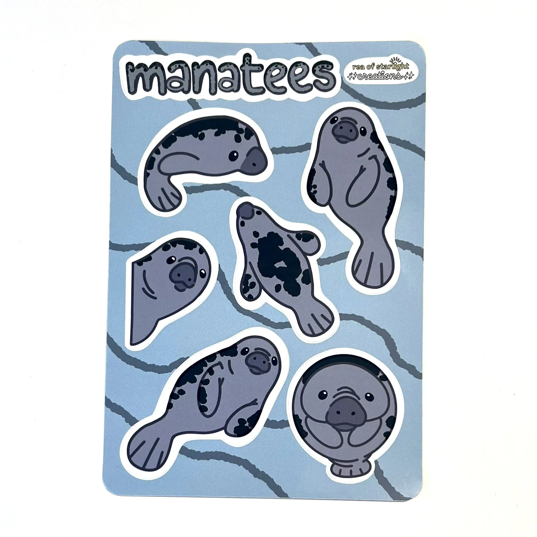 Manatee SS photo.jpg