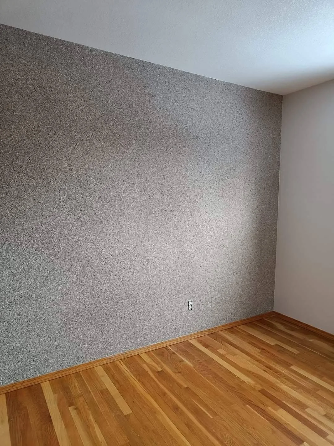 Interior room with a grey textured accent wall, natural wood-tone flooring and white ceiling.