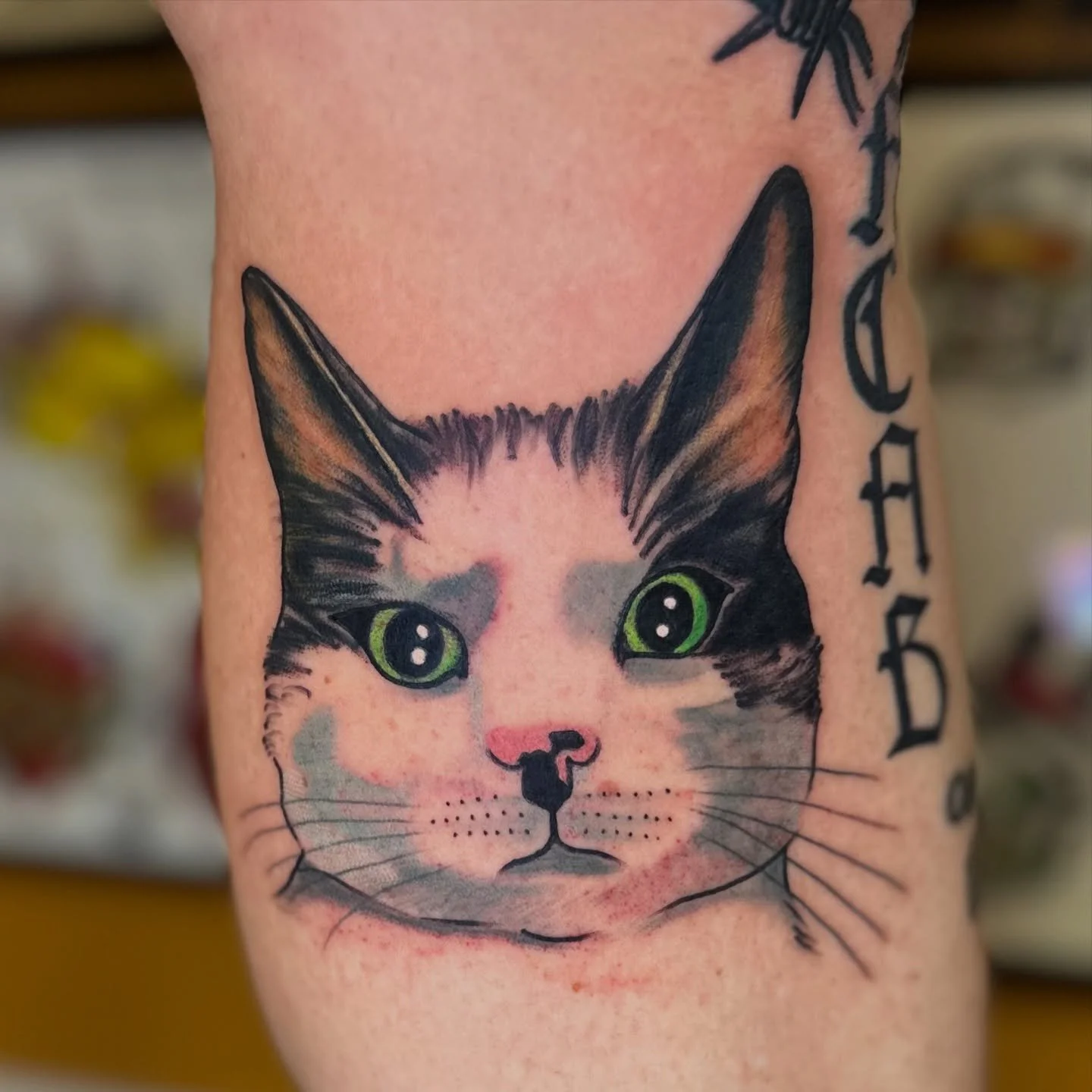 Tattoos, in progress and completed.