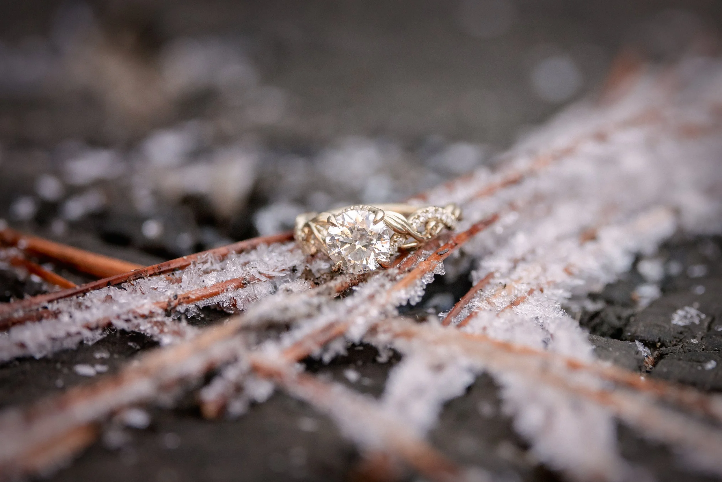 Gold engagement ring on top of frozen pine needles in Yosemite National Park