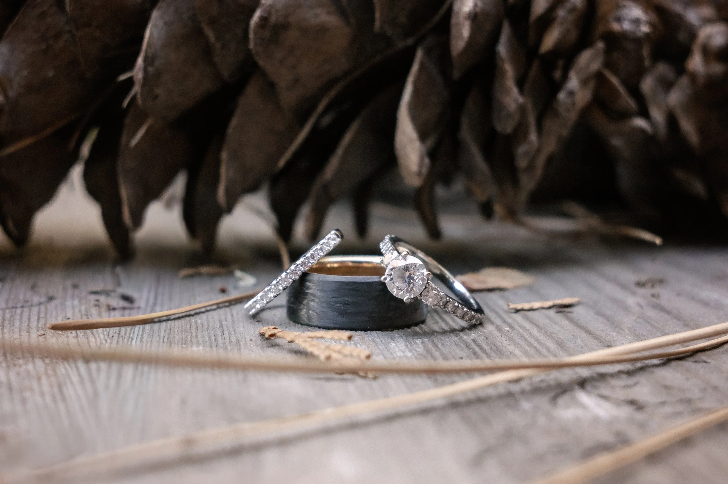 Wedding rings  on table next to a pinecone in Yosemite