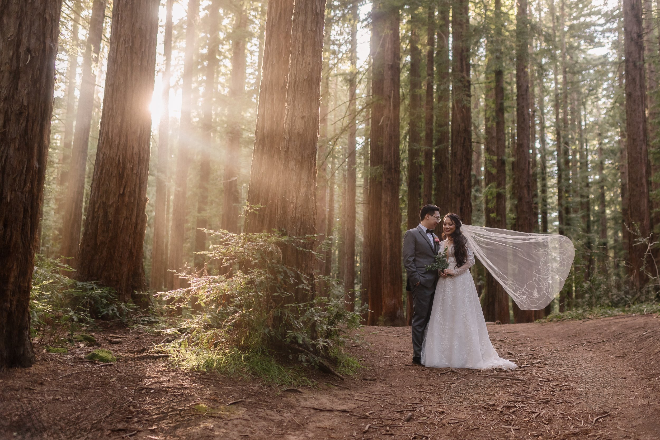 Elopement couple in the redwoods