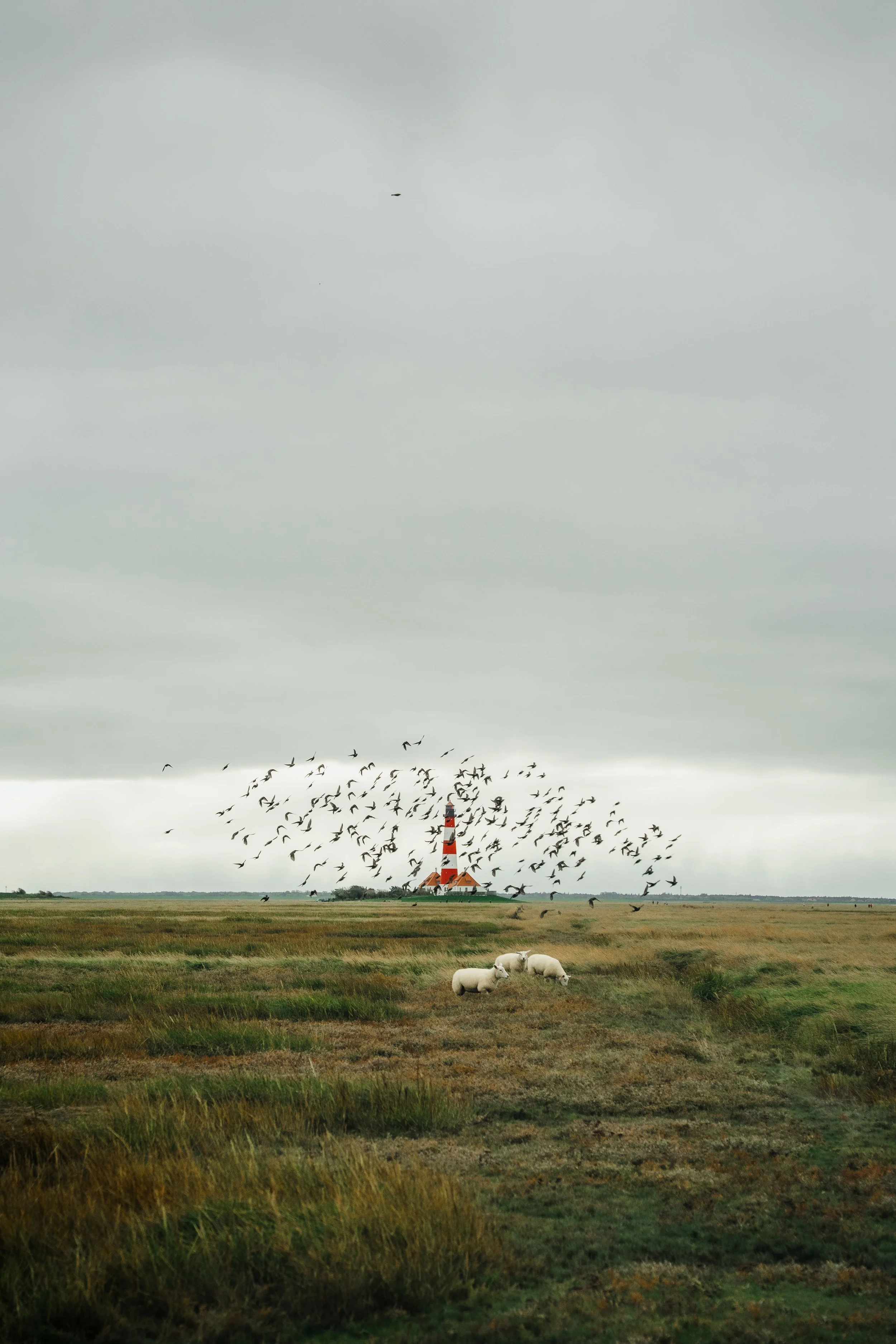 Galerie: Sankt Peter Ording