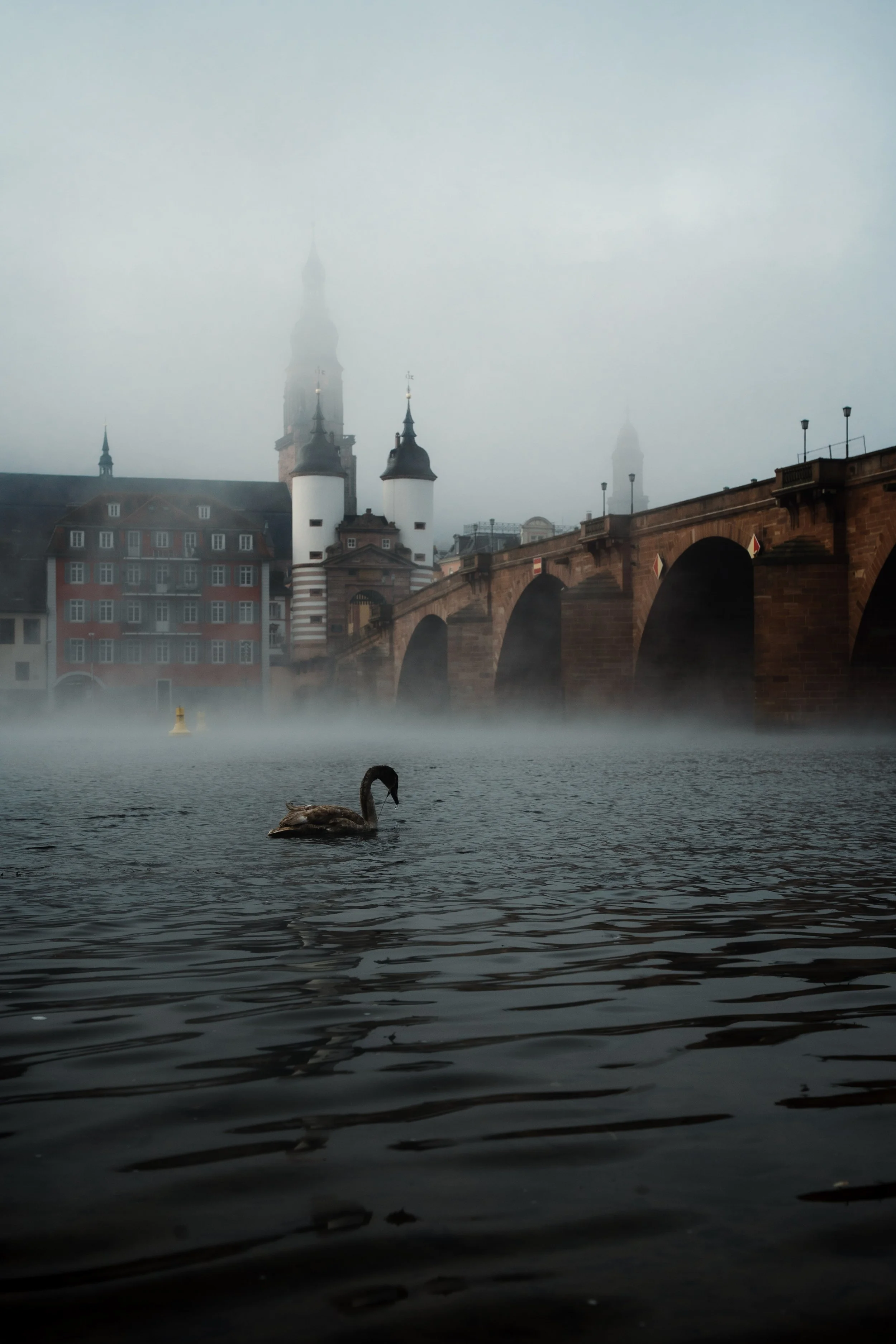 Lightroom Editing: Before &amp; After: Heidelberg, Germany